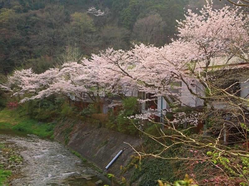 Motoyu Ryokan Atsugi Bagian luar foto