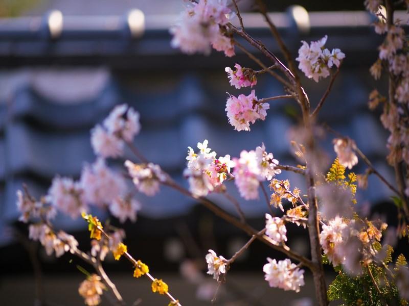 Motoyu Ryokan Atsugi Bagian luar foto